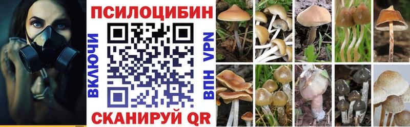 магазин  наркотиков  Чехов  Псилоцибиновые грибы прущие грибы 
